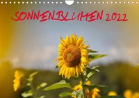 Buch Cover Sonnenblumen 2022 (Wandkalender 2022 DIN A4 quer)