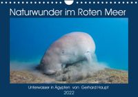 Buch Cover Naturwunder im Roten Meer (Wandkalender 2022 DIN A4 quer)