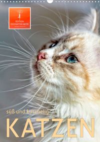 Buch Cover Katzen - süß und kuschelig (Wandkalender 2022 DIN A3 hoch)