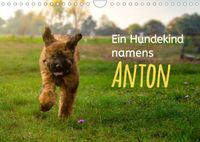 Buch Cover Ein Hundekind namens Anton (Wandkalender 2022 DIN A4 quer)