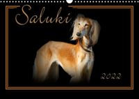 Buch Cover Saluki 2022 (Wandkalender 2022 DIN A3 quer)