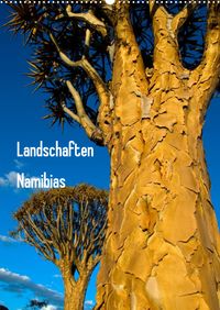 Buch Cover Landschaften Namibias (Wandkalender 2022 DIN A2 hoch)