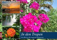 Buch Cover In den Tropen - Ein Blick in die tropische Klimazone (Wandkalender 2022 DIN A4 quer)