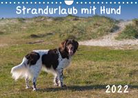 Buch Cover Strandurlaub mit Hund (Wandkalender 2022 DIN A4 quer)