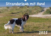 Buch Cover Strandurlaub mit Hund (Wandkalender 2022 DIN A3 quer)
