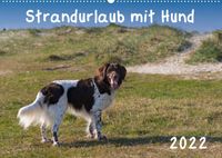 Buch Cover Strandurlaub mit Hund (Wandkalender 2022 DIN A2 quer)