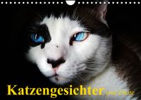 Buch Cover Katzengesichter und Zitate (Wandkalender 2022 DIN A4 quer)