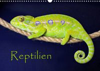 Buch Cover Reptilien (Wandkalender 2022 DIN A3 quer)