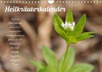 Buch Cover HeilkräuterkalenderAT-Version (Wandkalender 2022 DIN A4 quer)