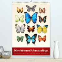 Buch Cover Die schönsten Schmetterlinge (Premium, hochwertiger DIN A2 Wandkalender 2022, Kunstdruck in Hochglanz)