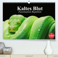 Buch Cover Kaltes Blut. Faszination Reptilien (Premium, hochwertiger DIN A2 Wandkalender 2022, Kunstdruck in Hochglanz)
