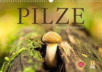 Buch Cover Pilze - fleißige Waldarbeiter (Wandkalender 2022 DIN A3 quer)