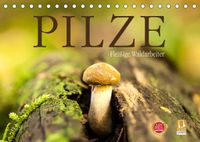Buch Cover Pilze - fleißige Waldarbeiter (Tischkalender 2022 DIN A5 quer)