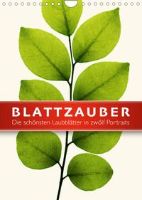 Buch Cover Blattzauber (Wandkalender 2022 DIN A4 hoch)