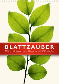 Buch Cover Blattzauber (Wandkalender 2022 DIN A3 hoch)