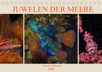 Buch Cover Juwelen der Meere (Tischkalender 2022 DIN A5 quer)
