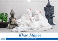 Buch Cover Khao Manee - Die Katze der Könige (Wandkalender 2022 DIN A4 quer)