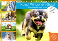 Buch Cover Hurra! Wir gehen Gassi! Abenteuer mit dem Hund! (Tischkalender 2022 DIN A5 quer)