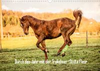 Buch Cover Durch das Jahr mit der Trakehner-Stute Fleur (Wandkalender 2022 DIN A3 quer)