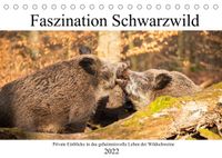 Buch Cover Faszination Schwarzwild (Tischkalender 2022 DIN A5 quer)