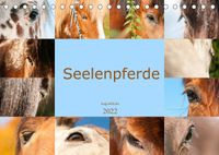 Buch Cover Seelenpferde - Augenblicke (Tischkalender 2022 DIN A5 quer)
