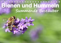Buch Cover Bienen und Hummeln Summende Bestäuber (Tischkalender 2022 DIN A5 quer)