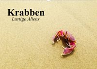 Buch Cover Krabben. Lustige Aliens (Wandkalender 2023 DIN A2 quer)