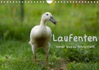 Buch Cover Laufenten immer was zu Schnattern (Wandkalender 2023 DIN A4 quer)