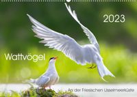 Buch Cover Wattvögel an der Friesischen IJsselmeerküste (Wandkalender 2023 DIN A2 quer)