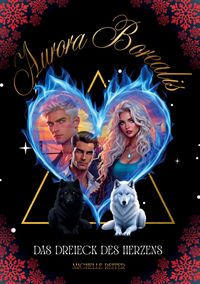 Buch Cover Aurora Borealis