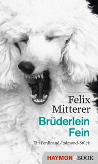 Buch Cover Brüderlein Fein