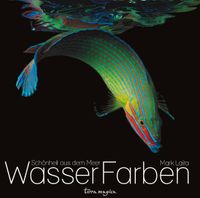 Buch Cover WasserFarben
