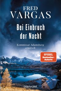 Buch Cover Bei Einbruch der Nacht