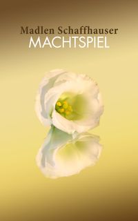 Buch Cover Machtspiel