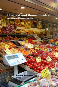 Buch Cover Überlast und Kernschmelze