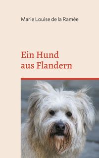 Buch Cover Ein Hund aus Flandern