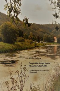 Buch Cover Fregatte in grüner Flusslandschaft