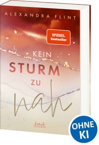 Buch Cover Kein Sturm zu nah (Tales of Sylt, Band 2)