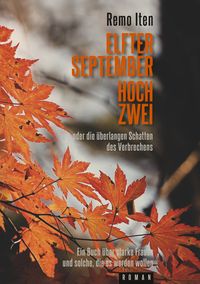 Buch Cover Elfter September hoch Zwei oder die überlangen Schatten des Verbrechens