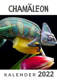 Buch Cover Chamäleon