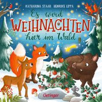 Buch Cover Es wird Weihnachten hier im Wald