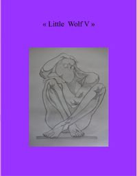 Buch Cover Little Wolf V