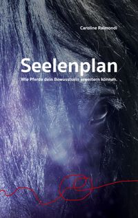 Buch Cover Seelenplan