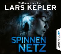 Buch Cover Spinnennetz