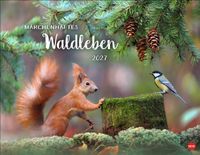 Buch Cover Vadim Trunov: Märchenhaftes Waldleben Posterkalender 2027