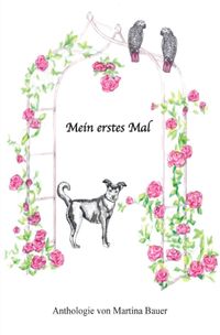 Buch Cover Mein erstes Mal