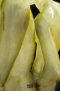 Buch Cover Louisa Clement