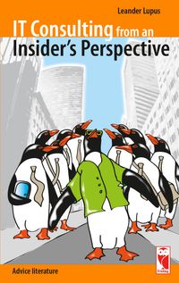 Buch Cover IT Consulting from an Insider's Perspective