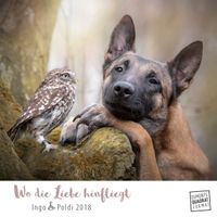 Buch Cover Wo die Liebe hinfliegt 2018 – Ingo & Poldi – Freundschaft von Schäferhund und Steinkauz - Wandkalender mit Spiralbindung – DuMont Quadratformat 24 x 24 cm