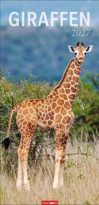 Buch Cover Giraffen Kalender 2027